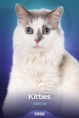 Kitties - Meow