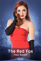 The Red Fox - Foxy Rabbit